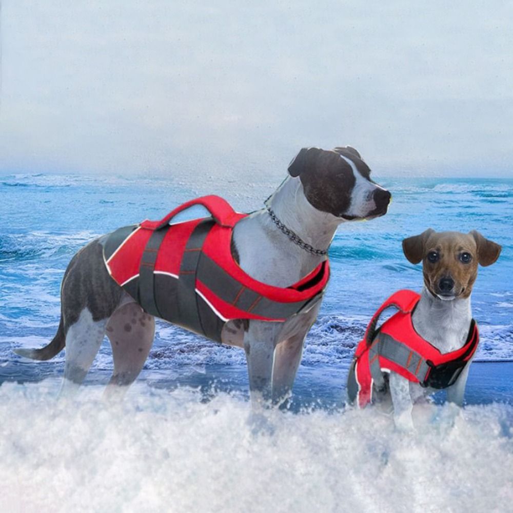 Yansıtıcı Köpek Can Yeleği Nef - Life Jacket Buoyancy incelemesi ve fiyatı